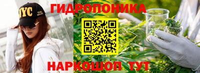 стаф Коммунар