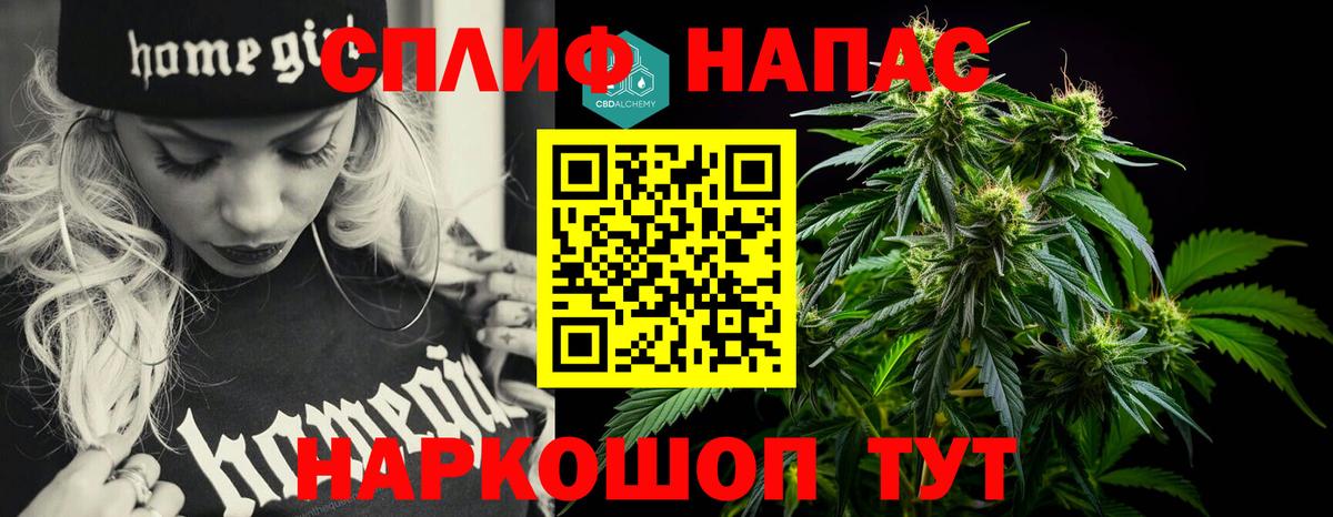 Канабис ГИДРОПОН  Бошки марихуана THC 21%  Вход с VPN  Бошки марихуана семена  Ставрополь 
